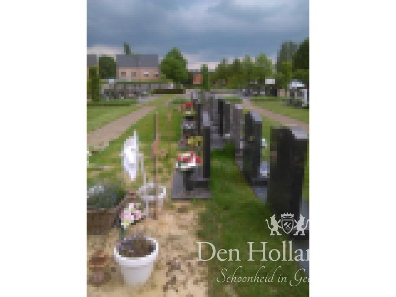 grafsteen Laakdal Vorst-Meerlaar