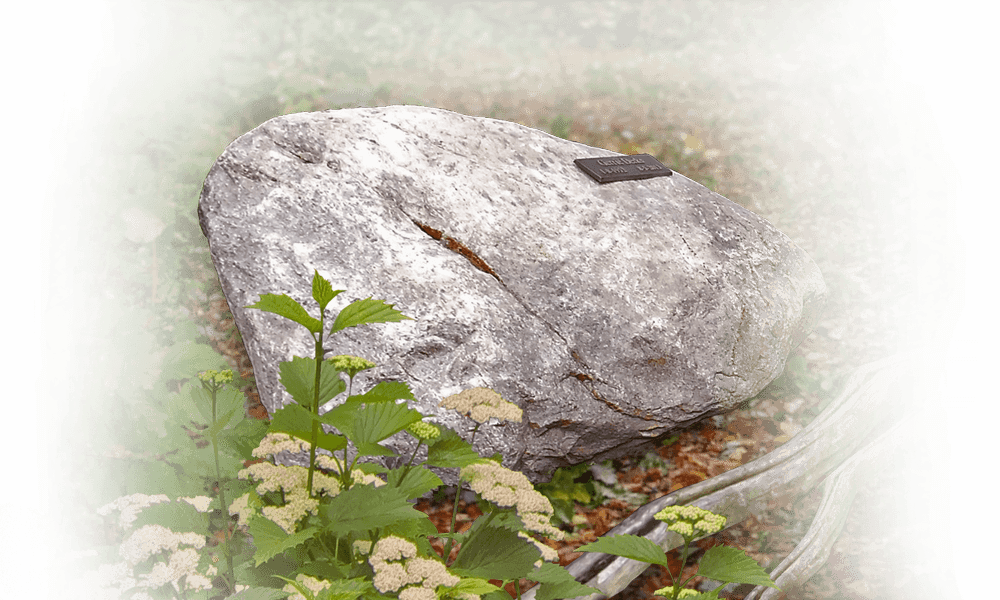 grafzerk natuurbegraafplaats zwerfkei als grafzerk