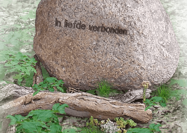 grafbeplanting zwerfkei