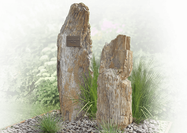 ruwe grafsteen versteend hout zuilen