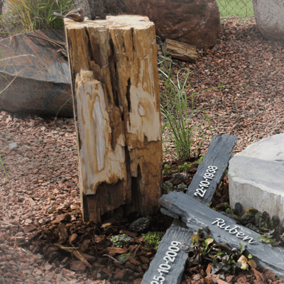 versteend hout grafmonumenten voorbeelden winkel en showtuin