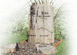 versteend hout grafsteen