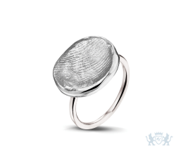 407 SW Zilver/ Goud