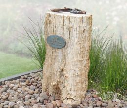 Grafmonument versteend hout boomstam