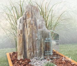 Natuurlijk grafmonument met versteend hout