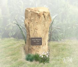 Versteend hout grafmonument
