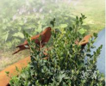 Cortenstaal grafmonument met vogels en bloem foto 4