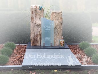Dubbel grafmonument versteend hout
