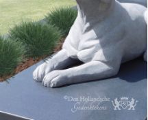 Familie grafsteen met beeld van een hond foto 5