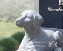 Familie grafsteen met beeld van een hond foto 4