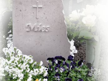 grafbeplanting-urnengraf-natuursteen-licht.png