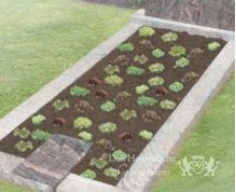 Grafsteen met ruimte voor beplanting foto 3