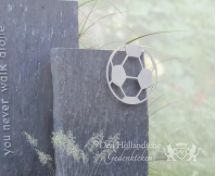Grafsteen met voetbal van rvs foto 2