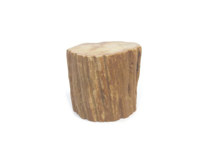 Mini urn van versteend hout - 3818 foto 1