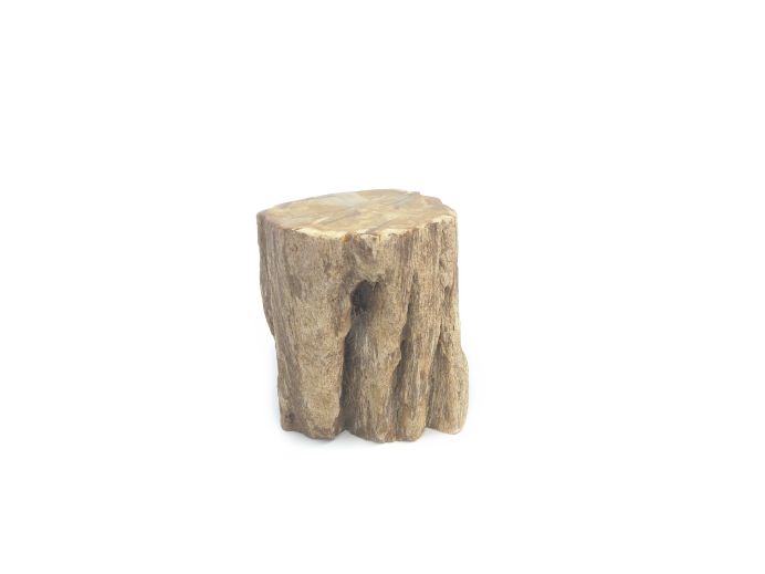 Mini urn van versteend hout - 3822 foto 1