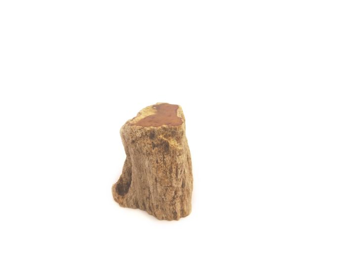 Mini urn van versteend hout - 3834 foto 1
