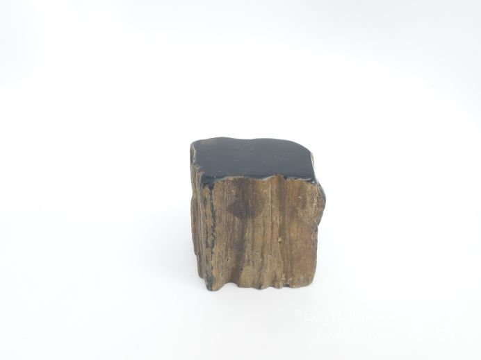 Mini urn van versteend hout - 3841 foto 1
