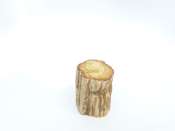 Mini urn van versteend hout - 3849 foto 1