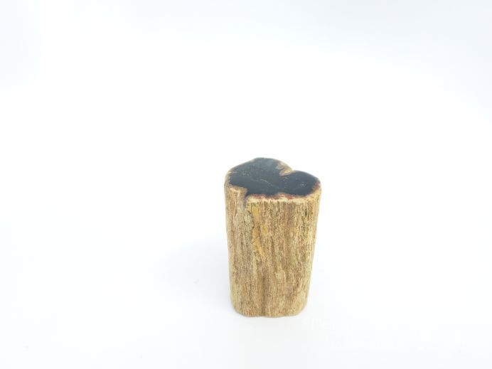 Mini urn van versteend hout - 3852 foto 1