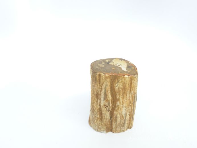 Mini urn van versteend hout - 3854 foto 1