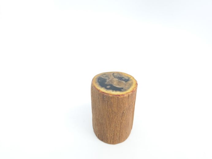 Mini urn van versteend hout - 3866 foto 1