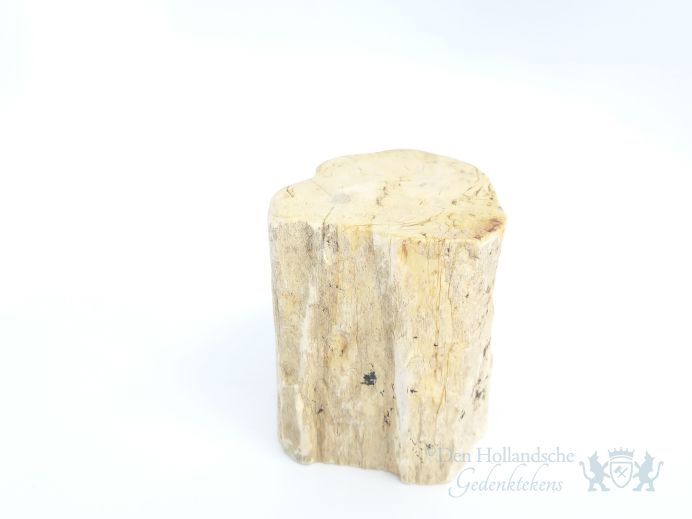 Mini urn van versteend hout - 3872 foto 1