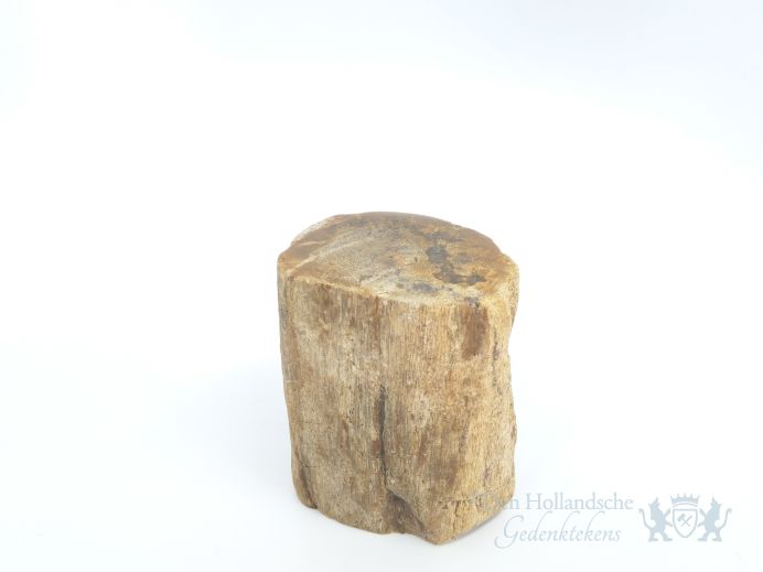 Mini urn van versteend hout - 3874 foto 1