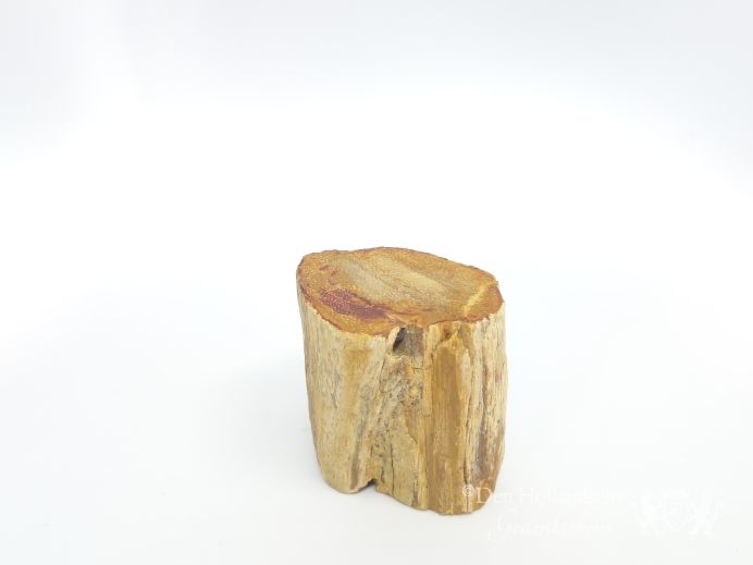 Mini urn van versteend hout - 3881 foto 1