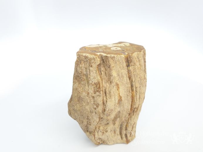 Mini urn van versteend hout - 3885 foto 1