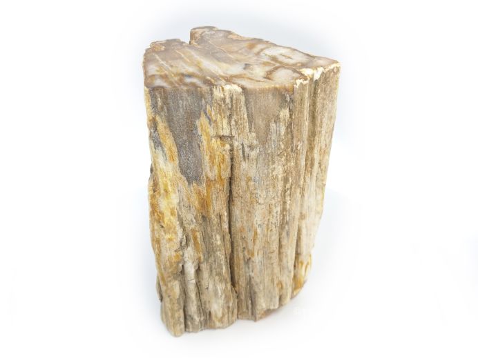 Mini urn van versteend hout - 3887 foto 1