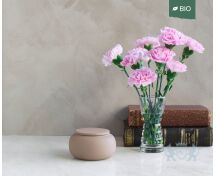 SERES mini – handgemaakte eco urne in zandkleurig engobe foto 1