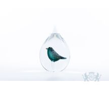 Stillabunt Cavas - Vogel blauw foto 1