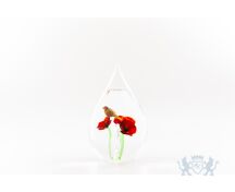 Stillabunt Cavas - Klaprozen met koolmees foto 1