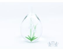 Stillabunt Cavas - Witte orchidee foto 1