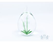 Stillabunt Cavas - Witte orchidee foto 1