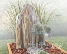 Natuurlijk grafmonument met versteend hout foto 1