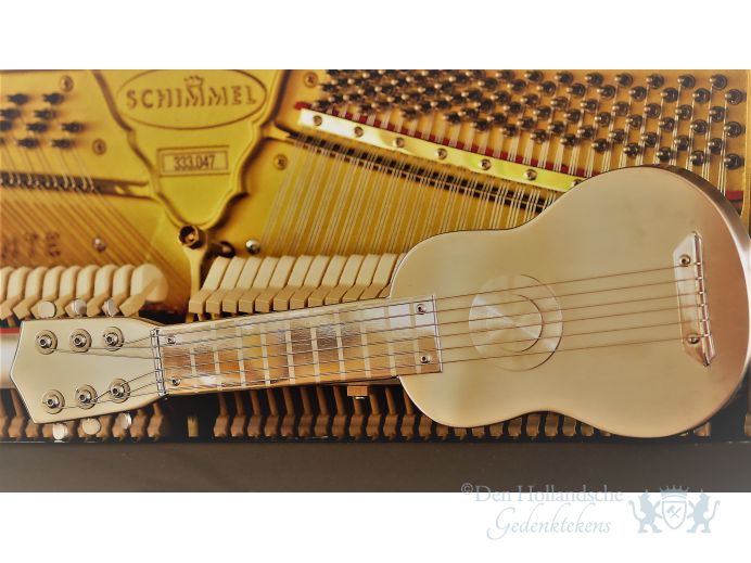 RVS Gitaar foto 1