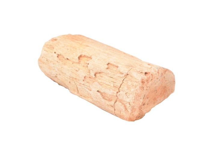 Versteend hout natuurlijke urn foto 1