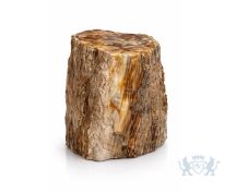 Versteend hout fossiel met gepolijst vlak foto 1