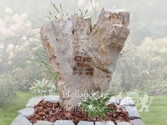 Versteend hout grafmonument