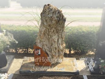 Versteend hout grafmonument