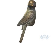 Vogel foto 1